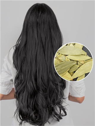 केसांना तमालपत्राचे तेल लावण्याचे फायदे काय? - Marathi News | केसांना तमालपत्राचे तेल लावण्याचे फायदे काय? | Latest Photos at Lokmat.com