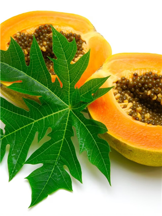 कपभर पपईच्या पानांचा रस आरोग्यासाठी बहुगुणी...! - Marathi News | कपभर पपईच्या पानांचा रस आरोग्यासाठी बहुगुणी...! | Latest Photos at Lokmat.com