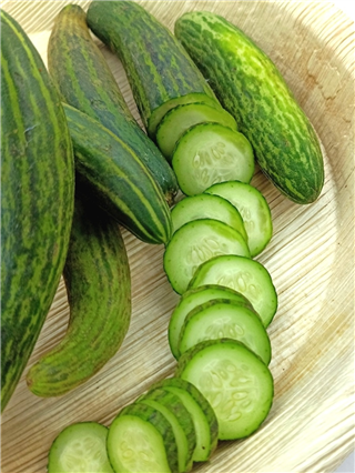 काकडी केव्हा आणि कशी खाणं अधिक चांगलं? - Marathi News | काकडी केव्हा आणि कशी खाणं अधिक चांगलं? | Latest Photos at Lokmat.com काकडी केव्हा आणि कशी खाणं अधिक चांगलं? - Marathi News | काकडी केव्हा आणि कशी खाणं अधिक चांगलं? | Latest Photos at Lokmat.com