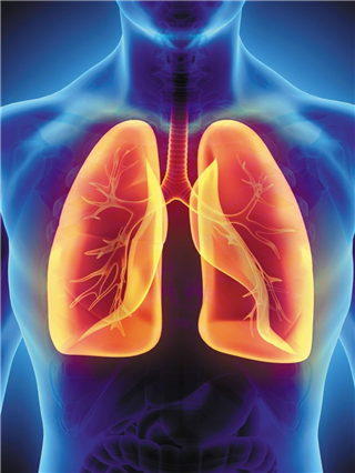 ५ टिप्स- म्हातारपणीही फुफ्फुसं राहतील ठणठणीत - Marathi News | ५ टिप्स- म्हातारपणीही फुफ्फुसं राहतील ठणठणीत | Latest Photos at Lokmat.com ५ टिप्स- म्हातारपणीही फुफ्फुसं राहतील ठणठणीत - Marathi News | ५ टिप्स- म्हातारपणीही फुफ्फुसं राहतील ठणठणीत | Latest Photos at Lokmat.com