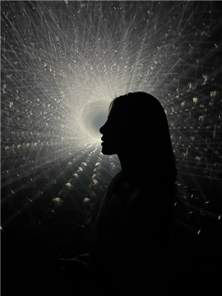 दीपिका-करीना नव्हे, तर 'ही' आहे बॉलिवूडची सर्वात महागडी अभिनेत्री - Marathi News | दीपिका-करीना नव्हे, तर 'ही' आहे बॉलिवूडची सर्वात महागडी अभिनेत्री | Latest Photos at Lokmat.com