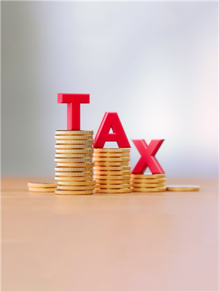 टॅक्स वाचवण्यासाठी 'या' पर्यायांमध्ये करू शकता गुंतवणूक - Marathi News | टॅक्स वाचवण्यासाठी 'या' पर्यायांमध्ये करू शकता गुंतवणूक | Latest Photos at Lokmat.com