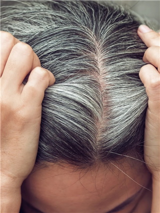 ७ पदार्थ खा, केस पांढरेच होणार नाहीत - Marathi News | ७ पदार्थ खा, केस पांढरेच होणार नाहीत | Latest Photos at Lokmat.com ७ पदार्थ खा, केस पांढरेच होणार नाहीत - Marathi News | ७ पदार्थ खा, केस पांढरेच होणार नाहीत | Latest Photos at Lokmat.com