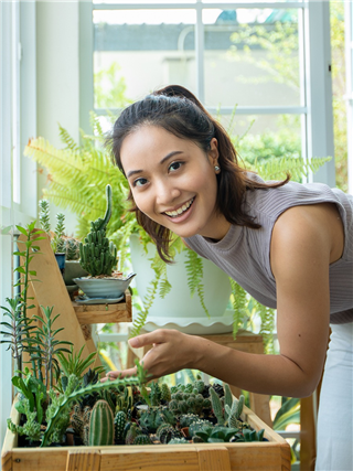 कुंडीतही लावता येतील ‘या’ ६ भाज्या, खा ऑरगॅनिक - Marathi News | कुंडीतही लावता येतील ‘या’ ६ भाज्या, खा ऑरगॅनिक | Latest Photos at Lokmat.com कुंडीतही लावता येतील ‘या’ ६ भाज्या, खा ऑरगॅनिक - Marathi News | कुंडीतही लावता येतील ‘या’ ६ भाज्या, खा ऑरगॅनिक | Latest Photos at Lokmat.com