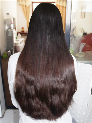 केसांसाठी वरदान असणारी ५ रोपं, केस वाढतील भराभर - Marathi News | केसांसाठी वरदान असणारी ५ रोपं, केस वाढतील भराभर | Latest Photos at Lokmat.com