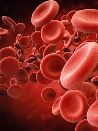 हिमोग्लोबिन वाढवायचं तर खा ८ फळं - Marathi News | हिमोग्लोबिन वाढवायचं तर खा ८ फळं | Latest Photos at Lokmat.com हिमोग्लोबिन वाढवायचं तर खा ८ फळं - Marathi News | हिमोग्लोबिन वाढवायचं तर खा ८ फळं | Latest Photos at Lokmat.com